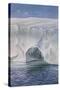 Antarctic, Cape Crozier-Edward A Wilson-Stretched Canvas