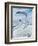 Antarctic Flier, 2015-Vincent Alexander Booth-Framed Giclee Print