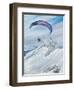 Antarctic Flier, 2015-Vincent Alexander Booth-Framed Giclee Print