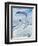 Antarctic Flier, 2015-Vincent Alexander Booth-Framed Giclee Print