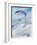 Antarctic Flier, 2015-Vincent Alexander Booth-Framed Giclee Print