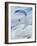 Antarctic Flier, 2015-Vincent Alexander Booth-Framed Giclee Print