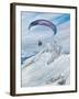 Antarctic Flier, 2015-Vincent Alexander Booth-Framed Giclee Print