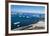 Antarctic fur seal (Arctocephalus gazella), Brown Bluff, Tabarin Peninsula, Antarctica, Polar Regio-Michael Runkel-Framed Photographic Print