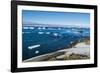 Antarctic fur seal (Arctocephalus gazella), Brown Bluff, Tabarin Peninsula, Antarctica, Polar Regio-Michael Runkel-Framed Photographic Print