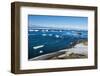 Antarctic fur seal (Arctocephalus gazella), Brown Bluff, Tabarin Peninsula, Antarctica, Polar Regio-Michael Runkel-Framed Photographic Print