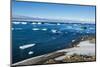 Antarctic fur seal (Arctocephalus gazella), Brown Bluff, Tabarin Peninsula, Antarctica, Polar Regio-Michael Runkel-Mounted Photographic Print