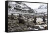 Antarctic fur seal (Arctocephalus gazella) colony, Coronation Island, South Orkney Islands, Antarct-Michael Runkel-Framed Stretched Canvas