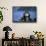 Antarctic Fur Seal Resting on Rock-Paul Souders-Framed Stretched Canvas displayed on a wall