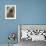 Antarctic Fur Seal, White Morph, South Georgia Island, Antarctica-Art Wolfe-Framed Photographic Print displayed on a wall