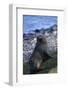 Antarctic Fur Seal-DLILLC-Framed Photographic Print