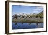 Antarctic Fur Seals-null-Framed Photographic Print