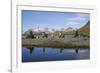 Antarctic Fur Seals-null-Framed Photographic Print