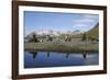 Antarctic Fur Seals-null-Framed Photographic Print