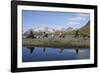 Antarctic Fur Seals-null-Framed Photographic Print