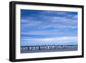 Antarctic, Gentoo penguin group-George Theodore-Framed Photographic Print