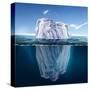 Antarctic Iceberg in the Ocean. Beautiful Polar Sea Background.-Sergey Nivens-Stretched Canvas