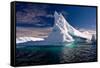 Antarctic Iceberg-Wim Hoek-Framed Stretched Canvas