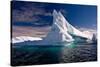 Antarctic Iceberg-Wim Hoek-Stretched Canvas