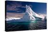 Antarctic Iceberg-Wim Hoek-Stretched Canvas