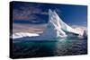 Antarctic Iceberg-Wim Hoek-Stretched Canvas
