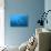 Antarctic Krill-null-Stretched Canvas displayed on a wall