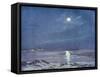 Antarctic Moon-null-Framed Stretched Canvas