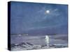Antarctic Moon-null-Stretched Canvas