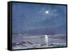 Antarctic Moon-null-Framed Stretched Canvas