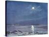 Antarctic Moon-null-Stretched Canvas