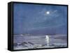 Antarctic Moon-null-Framed Stretched Canvas