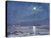 Antarctic Moon-null-Stretched Canvas