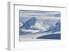 Antarctic Peninsula, Antarctica, Damoy Point. Gentoo penguin, mountain landscape.-Yuri Choufour-Framed Photographic Print