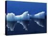 Antarctic Peninsula, Paradise Harbour, Icebergs Colours and Shapes at the Chilean Base in Paradise -Mark Hannaford-Stretched Canvas