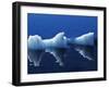 Antarctic Peninsula, Paradise Harbour, Icebergs Colours and Shapes at the Chilean Base in Paradise -Mark Hannaford-Framed Photographic Print