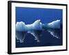 Antarctic Peninsula, Paradise Harbour, Icebergs Colours and Shapes at the Chilean Base in Paradise -Mark Hannaford-Framed Photographic Print