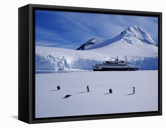 Antarctic Peninsula, Port Lockroy, Gentoo Penguins and Cruise Ship Clipper Adventurer, Antarctica-Allan White-Framed Stretched Canvas