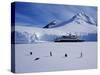 Antarctic Peninsula, Port Lockroy, Gentoo Penguins and Cruise Ship Clipper Adventurer, Antarctica-Allan White-Stretched Canvas