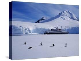 Antarctic Peninsula, Port Lockroy, Gentoo Penguins and Cruise Ship Clipper Adventurer, Antarctica-Allan White-Stretched Canvas