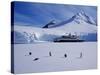 Antarctic Peninsula, Port Lockroy, Gentoo Penguins and Cruise Ship Clipper Adventurer, Antarctica-Allan White-Stretched Canvas