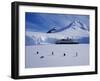 Antarctic Peninsula, Port Lockroy, Gentoo Penguins and Cruise Ship Clipper Adventurer, Antarctica-Allan White-Framed Photographic Print