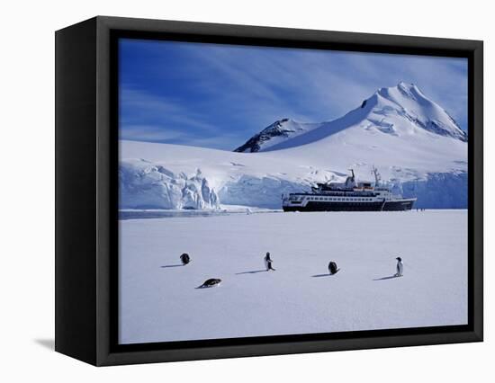 Antarctic Peninsula, Port Lockroy, Gentoo Penguins and Cruise Ship Clipper Adventurer, Antarctica-Allan White-Framed Stretched Canvas