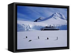 Antarctic Peninsula, Port Lockroy, Gentoo Penguins and Cruise Ship Clipper Adventurer, Antarctica-Allan White-Framed Stretched Canvas