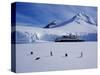 Antarctic Peninsula, Port Lockroy, Gentoo Penguins and Cruise Ship Clipper Adventurer, Antarctica-Allan White-Stretched Canvas