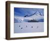 Antarctic Peninsula, Port Lockroy, Gentoo Penguins and Cruise Ship Clipper Adventurer, Antarctica-Allan White-Framed Photographic Print