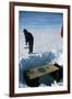 Antarctic Toilet-David Vaughan-Framed Photographic Print