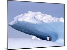 Antarctica, adelie penguin in front of iceberg-Frans Lemmens-Mounted Photographic Print