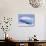 Antarctica, adelie penguin in front of iceberg-Frans Lemmens-Photographic Print displayed on a wall