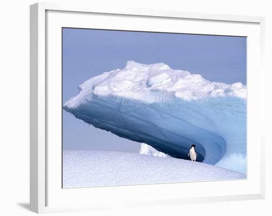 Antarctica, adelie penguin in front of iceberg-Frans Lemmens-Framed Photographic Print