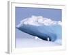 Antarctica, adelie penguin in front of iceberg-Frans Lemmens-Framed Photographic Print